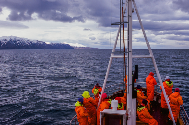 команда в спасательных жилетах на яхте у берегов Исландии